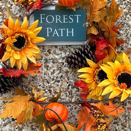 Forest Path Luxury Studio Apartment With Large Bedroom Bathroom And Sauna Sleeps Up To 4 Ballynahinch Экстерьер фото