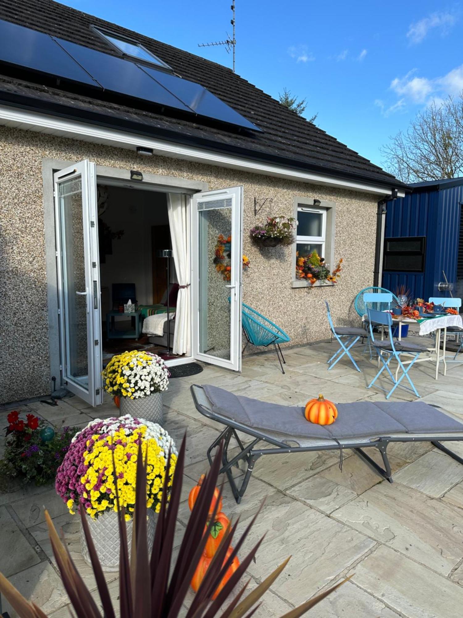 Forest Path Luxury Studio Apartment With Large Bedroom Bathroom And Sauna Sleeps Up To 4 Ballynahinch Экстерьер фото