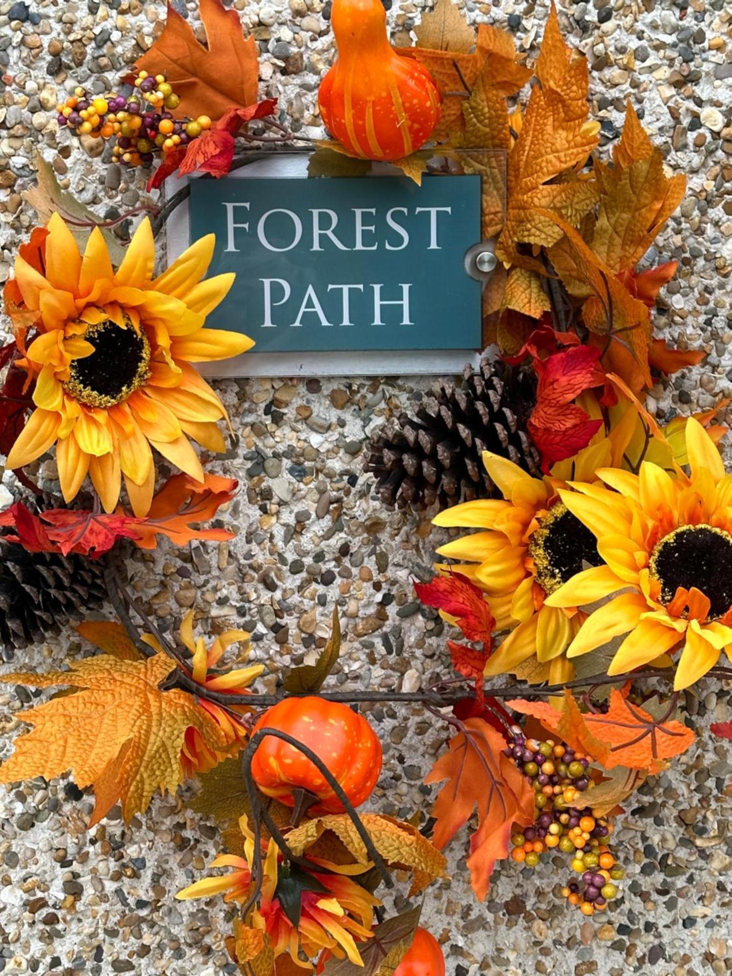 Forest Path Luxury Studio Apartment With Large Bedroom Bathroom And Sauna Sleeps Up To 4 Ballynahinch Экстерьер фото